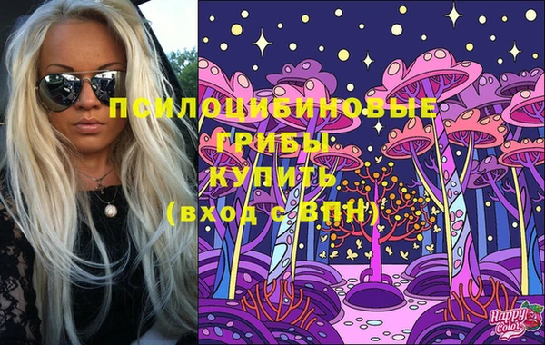 трава Белокуриха