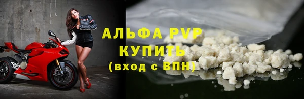 трава Белокуриха