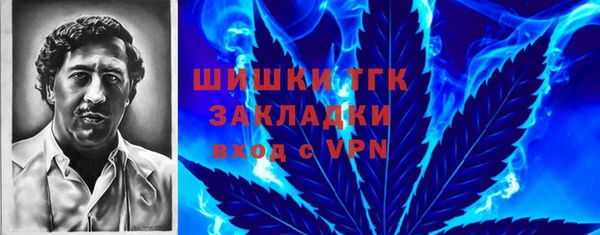 трава Белокуриха