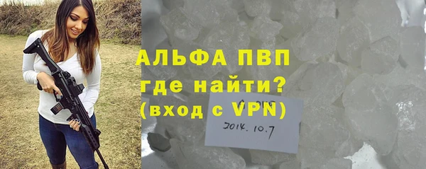 трава Белокуриха