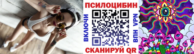 Псилоцибиновые грибы ЛСД  МЕГА вход  Купино 